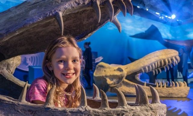 City Sightseeing Reykjavik Hop-On, Hop-Off & Whales of Iceland Museum