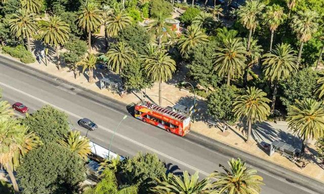 Combo Tham quan Thành phố Malaga Hop-On, Hop-Off, Thuyền & Điểm tham quan