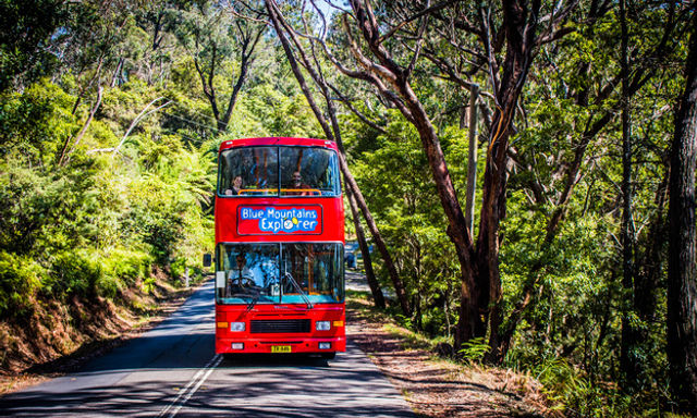 Thẻ Lyrebird: Thẻ Blue Mountains Hop-On, Hop-Off và Scenic World Rides