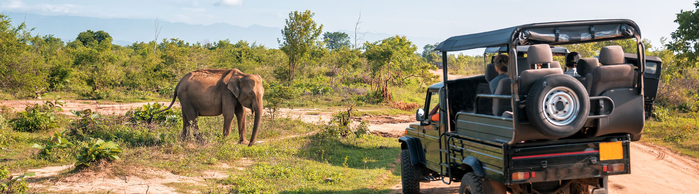 Beruwala Tours & Things to do in Beruwala 2026 | isango.com