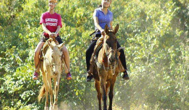 Mole Riding Mule Riding Tour