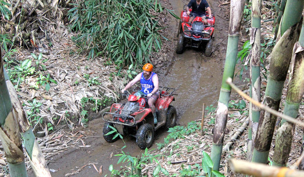 Bali Adventures: Quad Bike Ride, Ubud Rice Terrace & Monkey Forest