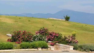 Majestic nature's embrace: A stunning image capturing the serene beauty of grasslands and mountains in perfect harmony.