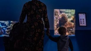 Joyful little kid exploring L'Aquarium De Paris, hand in hand with her mother, immersed in the wonders of marine life and precious moments.