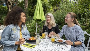 Amidst Giverny's scenic beauty, friends savor lunch, cherishing quality time, and sharing joyful moments in nature's embrace.