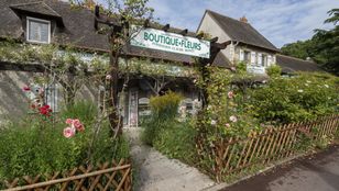 Serene Giverny: Monet's captivating gardens, a painterly paradise of nature's artistry. Immerse in tranquility and floral delights.