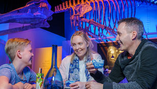 Beautiful moments of joy as a family embraces the wonders of The Museum of Whales of Iceland, forging unforgettable memories together.