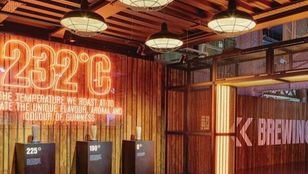 Inside St. James Gate Brewery: A sensory journey through the art of brewing, where craftsmanship and heritage intertwine.