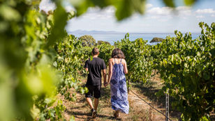 A couple leisurely exploring the picturesque Melbourne vineyards, taking in the scenic beauty of the lush surroundings.