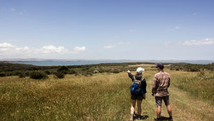 A couple leisurely exploring the scenic beauty of French & Phillip Island, captivated by the enchanting surroundings.