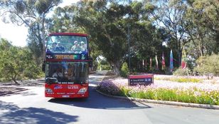 As the bus winds its way through Perth and Kings Park, tourists gaze out the windows in awe at the stunning scenery passing by.