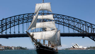 Tall Ship sails Sydney Harbour, framed by the iconic bridge, capturing a stunning moment where history and beauty unite.