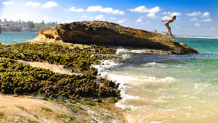 The stunning Sydney beach unfolds against the backdrop of the city's magnificent skyline, a harmonious blend of urban and natural beauty.