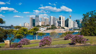A tranquil garden oasis framed by Sydney's awe-inspiring cityscape, offering a harmonious blend of natural beauty and urban splendor.