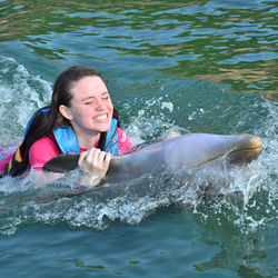 DolphinCove