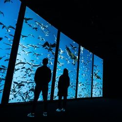 LisbonOceanarium