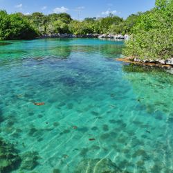 Xel-Ha