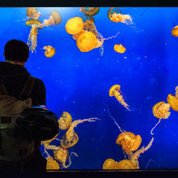 VancouverAquarium