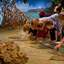 NewEnglandAquarium