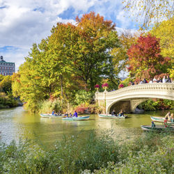 CentralPark