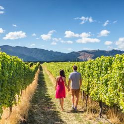 NapaValley