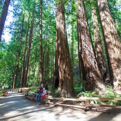 MuirWoods&Sausalito