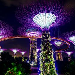 GardensbytheBay