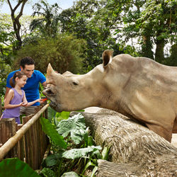 SingaporeZoo