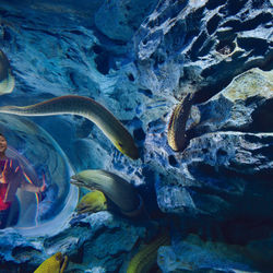 MiamiSeaquarium