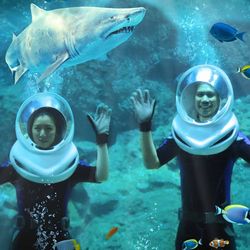 SEALIFEAquarium