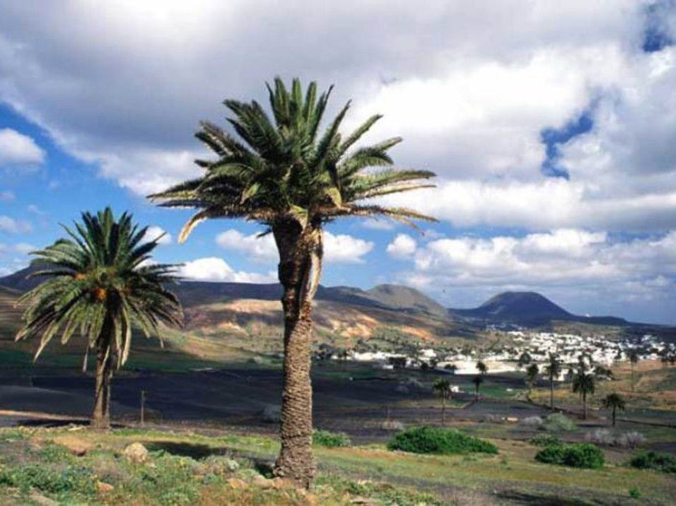 general