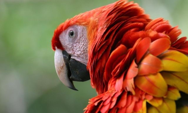 15 Days / 14 Nights: Guided Tour Beaches Nature with Tambor - From Guanacaste
