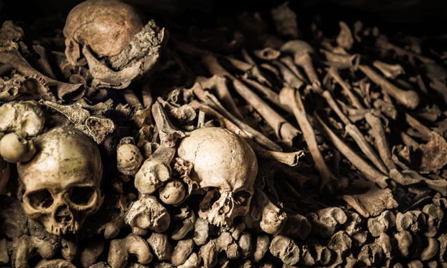 What Lies Beneath: Skip-the-Line Paris Catacombs Tour with VIP Access