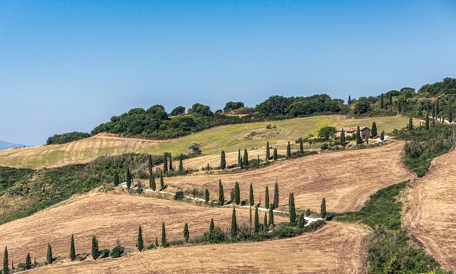 Chianti Classico, Montalcino, Montepulciano: day Trip from Florence by minivan