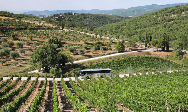 Chianti Tour with Wine Tasting from Florence