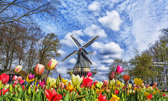 Keukenhof Gardens Admission E-Ticket