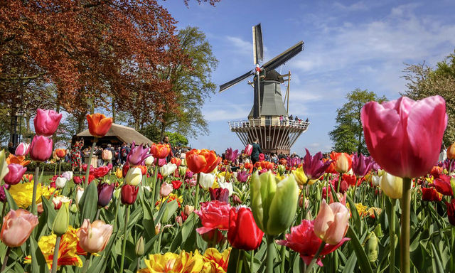 Skip-the-Line Keukenhof Ticket with Transfers & Amsterdam Canal Cruise