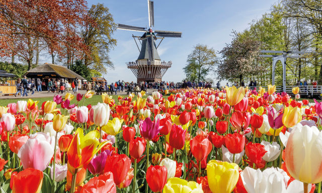 Keukenhof Admission with Transfers and Cruise