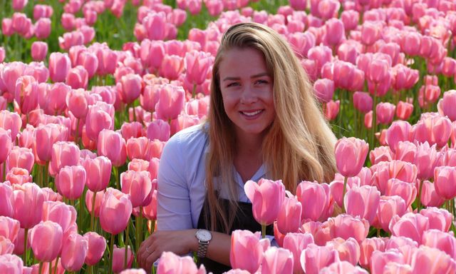 Keukenhof with Transfers, Spring Cruise, Tulip Farm, and Windmill Visit