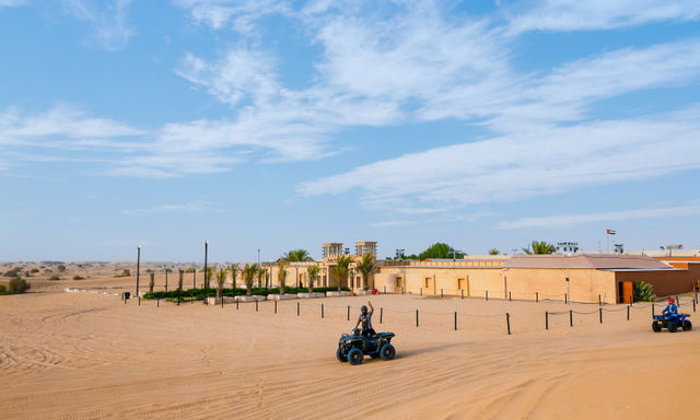 Desert Safari with BBQ Dinner