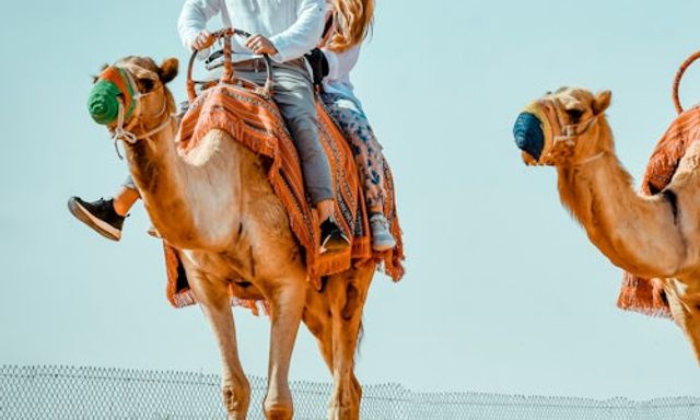 Dubai: Evening Desert Safari + BBQ Dinner
