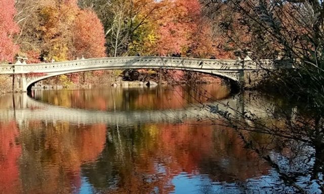 New York: Central Park Walking Tour