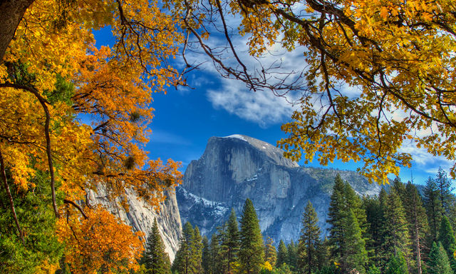 Yosemite Park and Giant Sequoias Tour from San Francisco