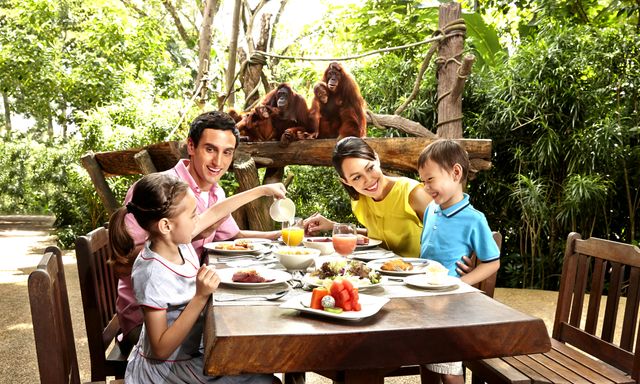 The Wonders of Singapore Zoo: A Guided Tour with Optional Breakfast