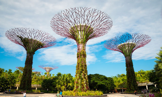 Gardens By The Bay Private Tour