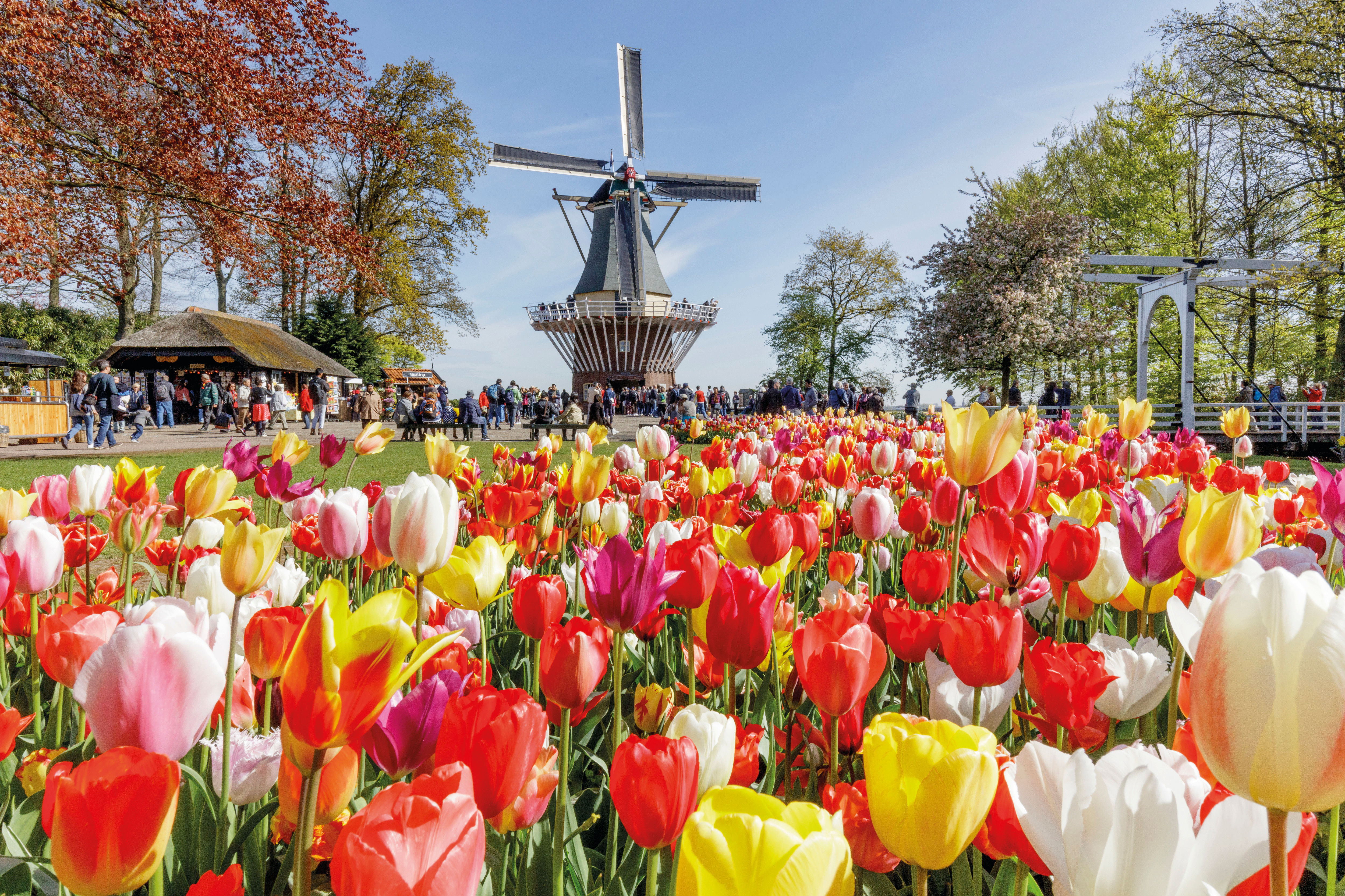 Keukenhof Admission with Transfers and Cruise