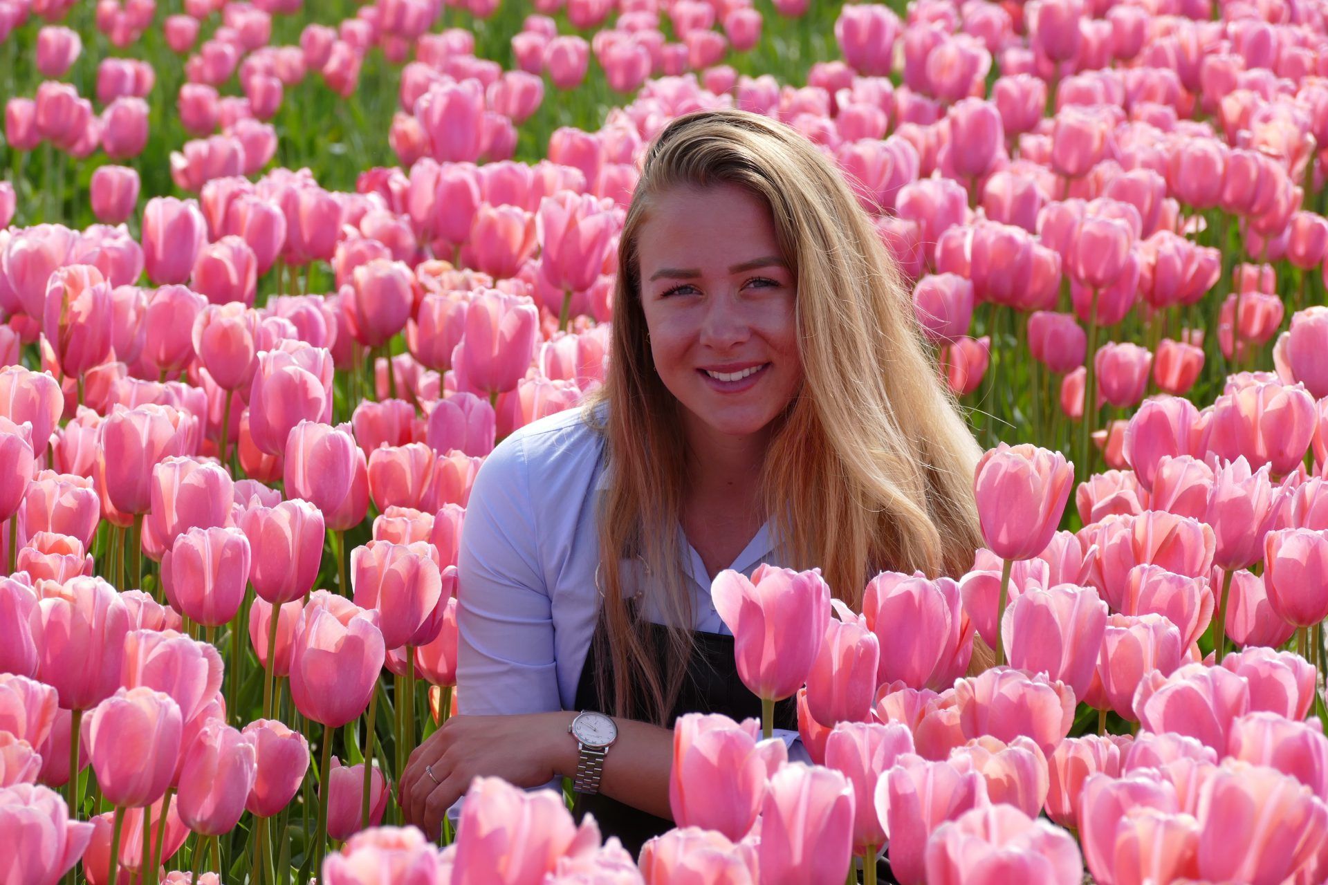Keukenhof with Transfers, Spring Cruise, Tulip Farm, and Windmill Visit